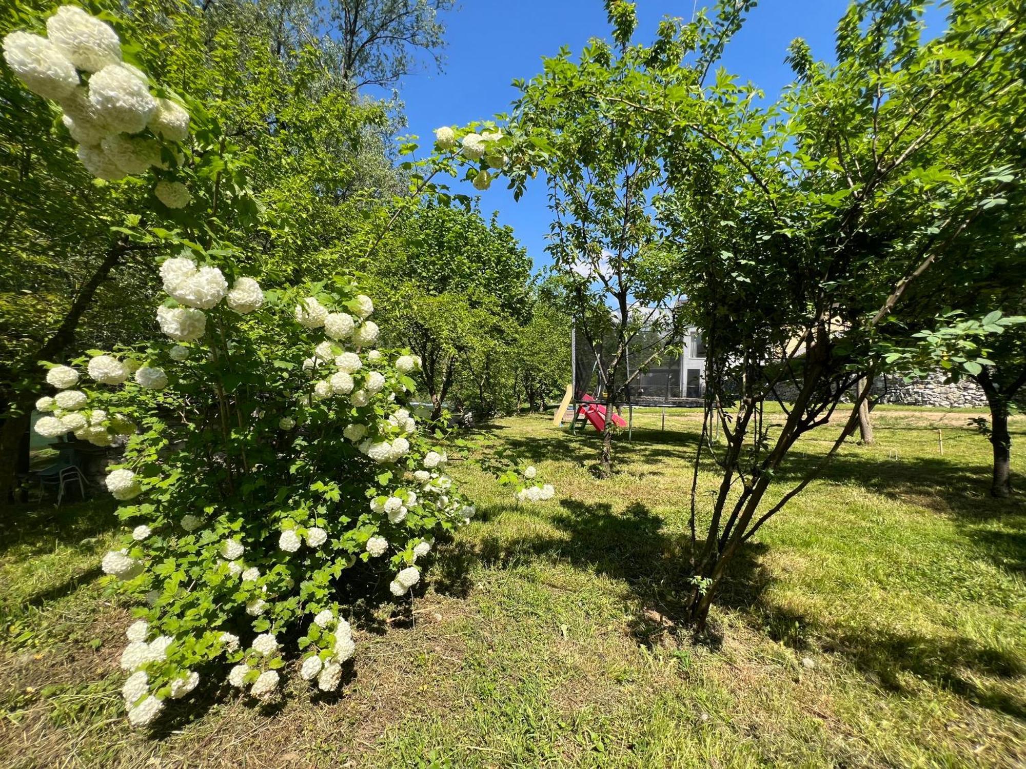 Anur Apartment Бихач Экстерьер фото